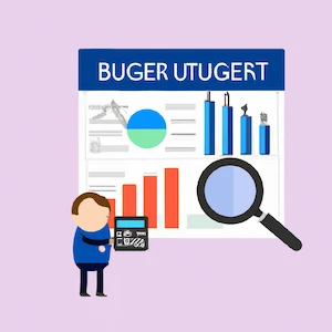 Budget Analyst