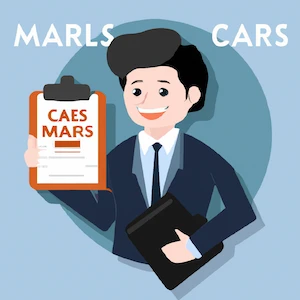 Car Sales Manager