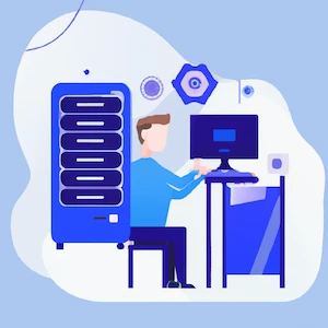 IT Specialist