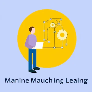 Machine Learning Engineer