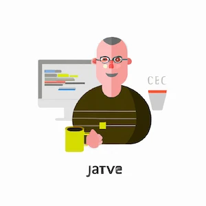 Senior Java Developer