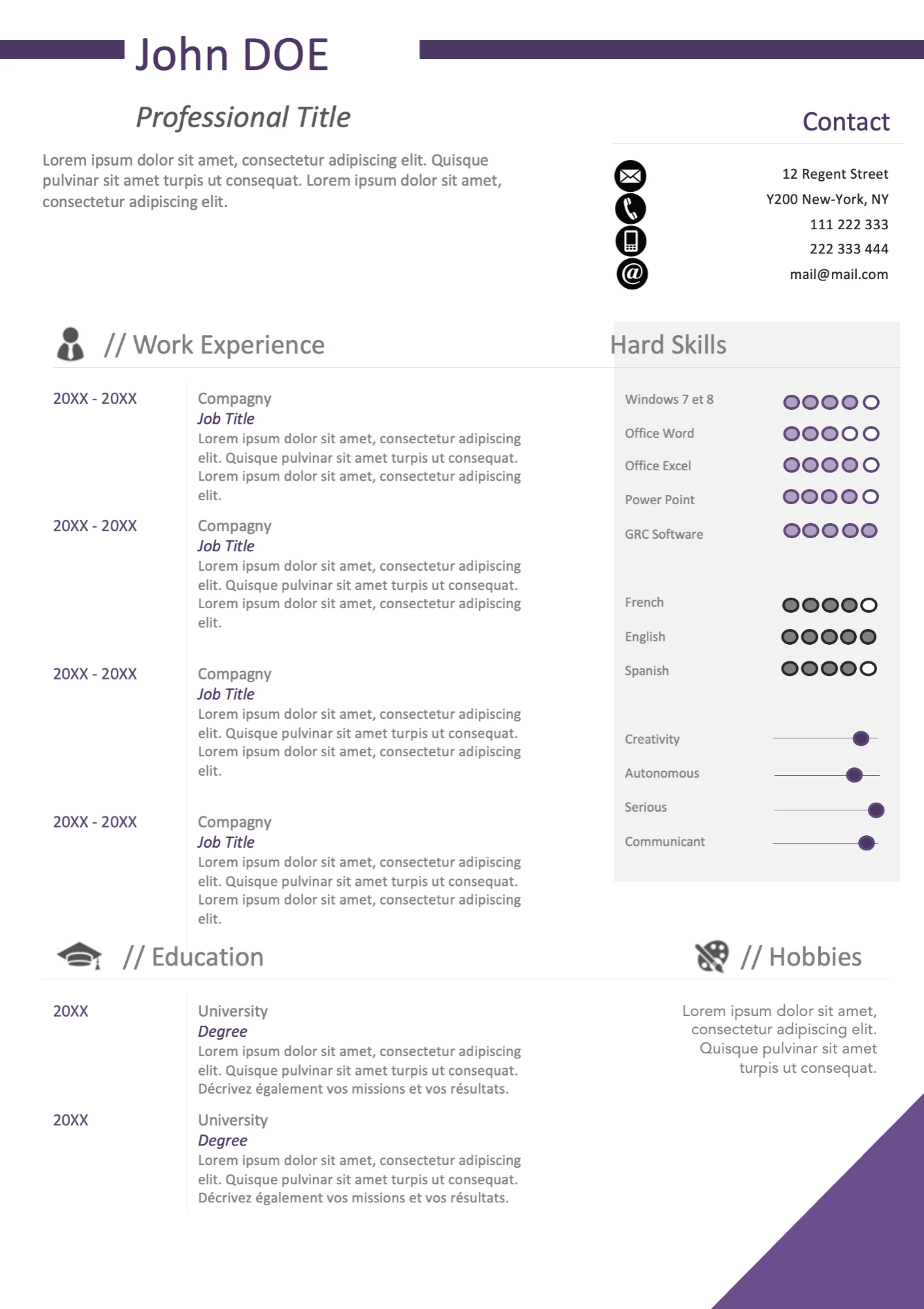 Nice Resume template preview