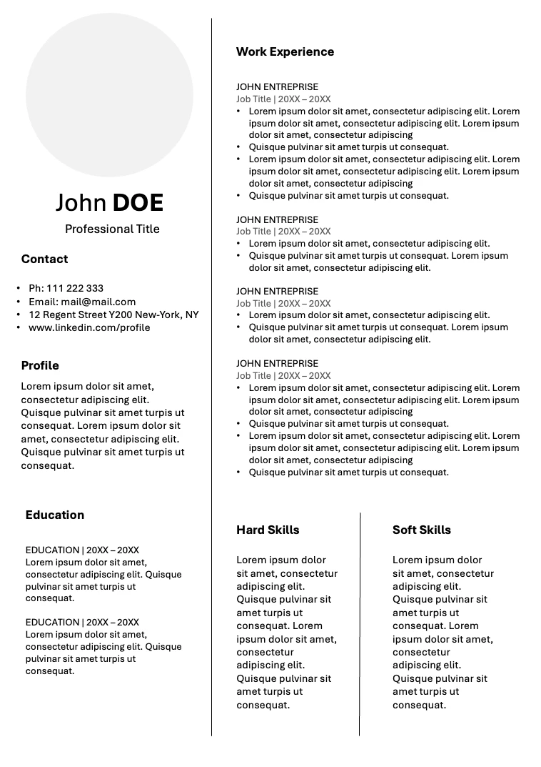 Professional Resume template preview