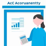 Entry Level Accountant