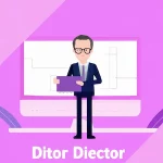 IT Director
