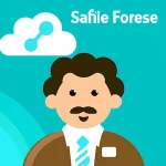 Salesforce Consultant