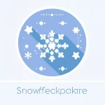 Snowflake Developer