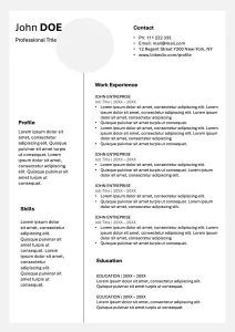 Simple Resume