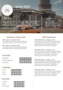 Stylish Resume